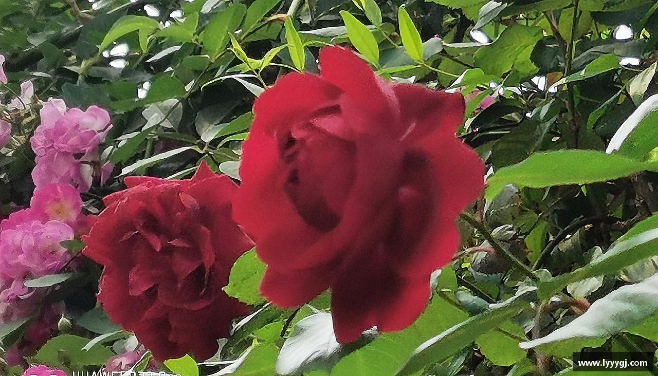 LEwin乐玩官网团结拼搏，驰骋竞技！